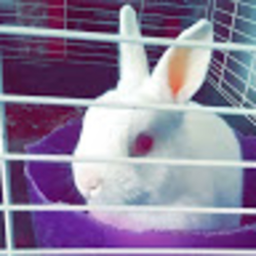 Meet your Posher, Tia